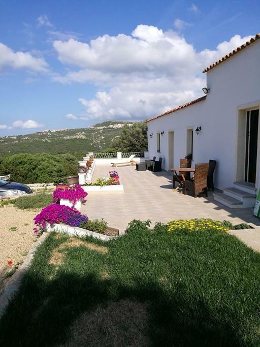 סנטה טרזה גאיורה Appartamento L'Albero Magico Nella Campagna Gallurese מראה חיצוני תמונה