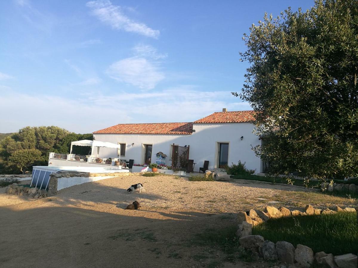 סנטה טרזה גאיורה Appartamento L'Albero Magico Nella Campagna Gallurese מראה חיצוני תמונה