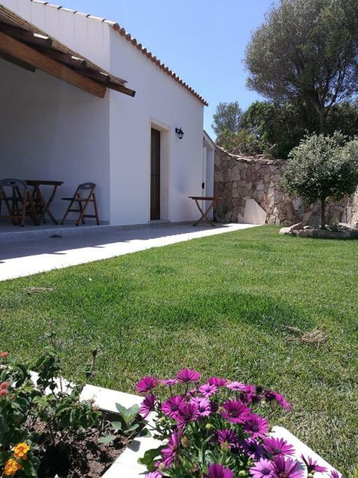 סנטה טרזה גאיורה Appartamento L'Albero Magico Nella Campagna Gallurese מראה חיצוני תמונה